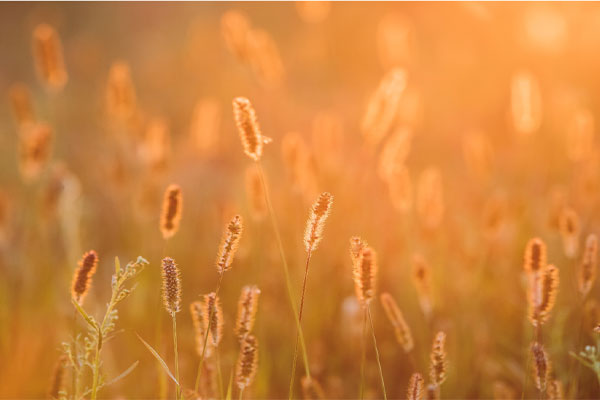 Clean & Recover - Presentation to the Acid and Metalliferous Drainage Conference